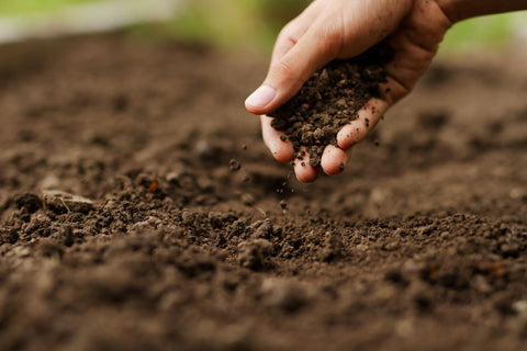 gardeners running her hand through the brown soil