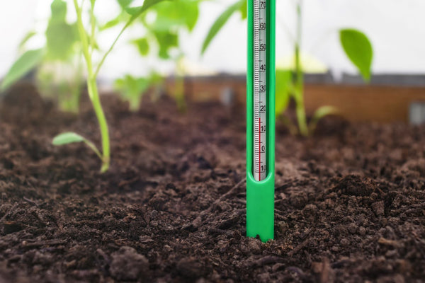 plant thermometer for soil temperature
