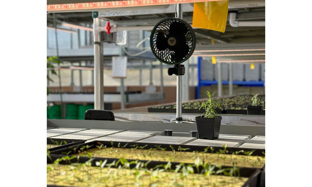 Mini Fan in Greenhouse