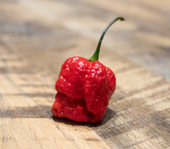 red-scorpion-pepper