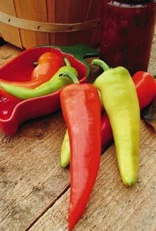 photo of different colored dante's hot peppers harvested from the plant