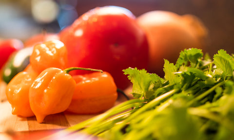 tomato plant, cilantro, and onion plant 