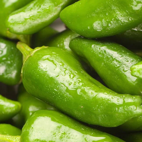 close-up shot of green padron peppers covered in dew