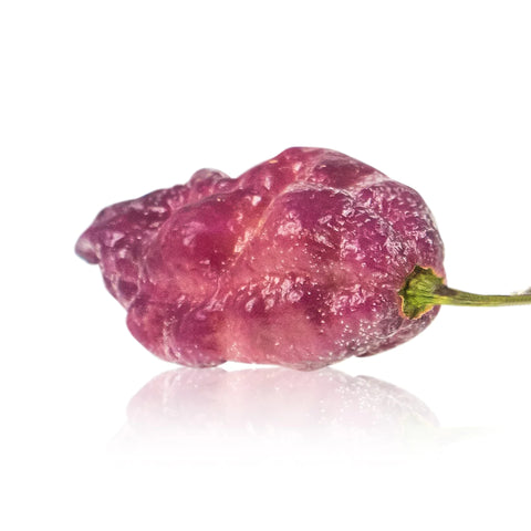 pink tiger x peach bhut chili pepper