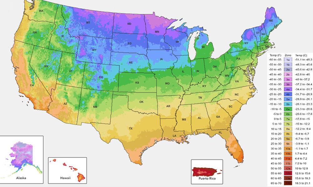 USDA Grow Zone Map