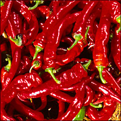 closeup of fresh red jimmy nardello peppers in pile