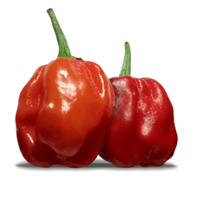 Sweet Chili Pepper Seeds – Pepper Joe's