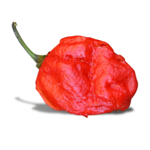 death spiral pepper facts