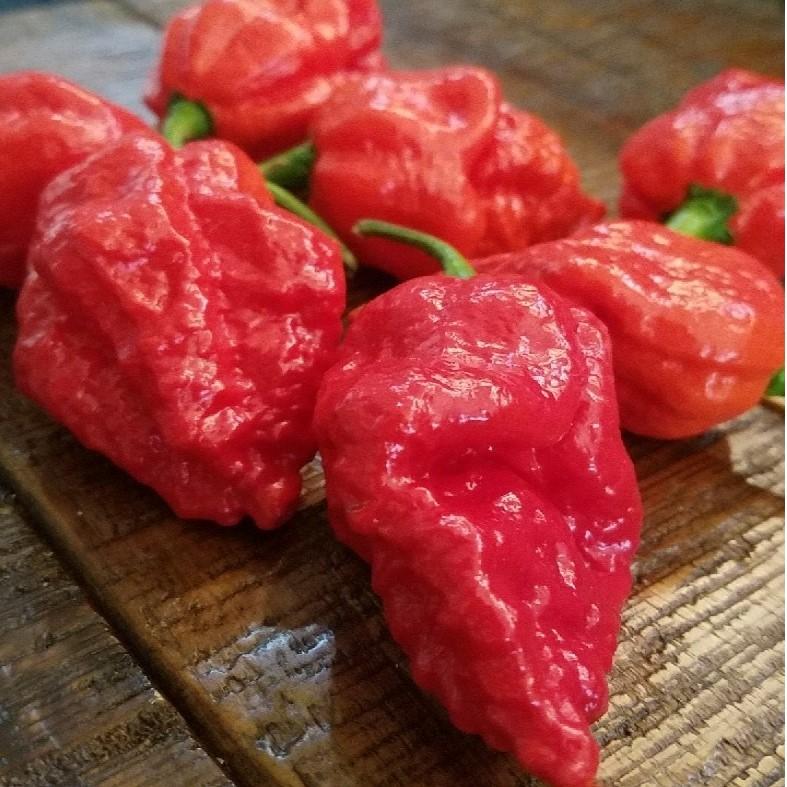 scorpion reaper pepper