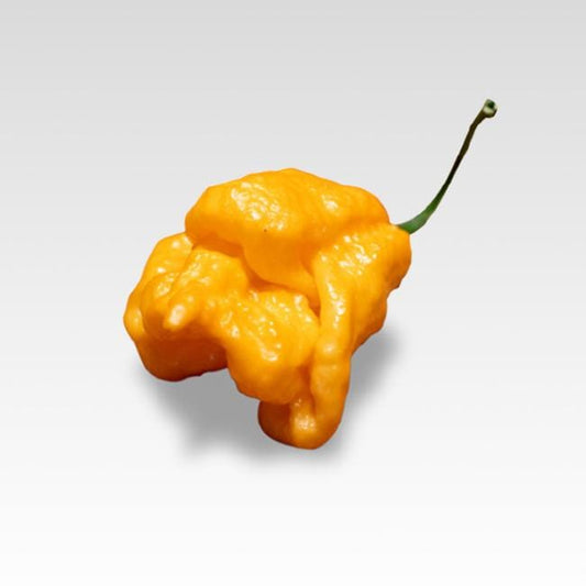 Daisy Cutter Yellow – Texas Hot Peppers