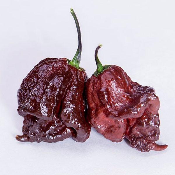 california reaper pepper for sale