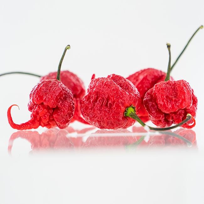 buy carolina reaper pepper