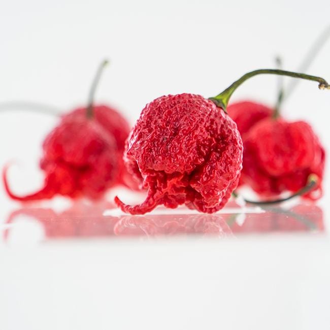 Carolina Reaper Pepper Seeds | HP22B - Pepper Joes product image