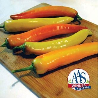 hot sunset disease resistant peppers