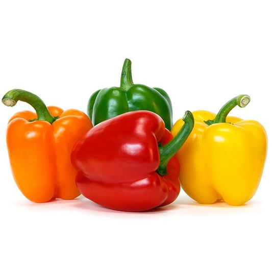 Mini Belle Blend Pepper, Sweet Bell Pepper Seeds: Totally Tomatoes