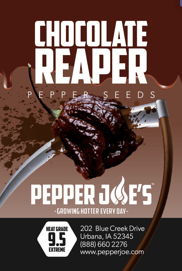 chocolate reaper pepper