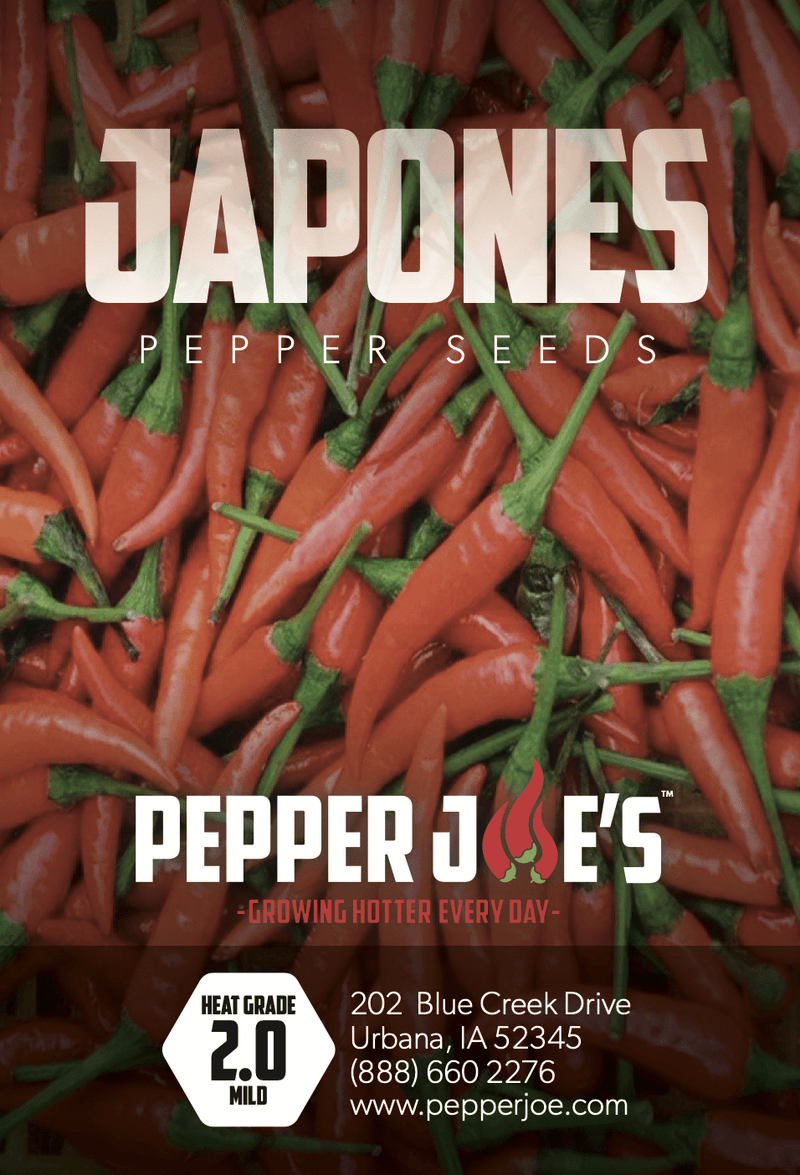 Japones Pepper Seeds Pepper Joe’s