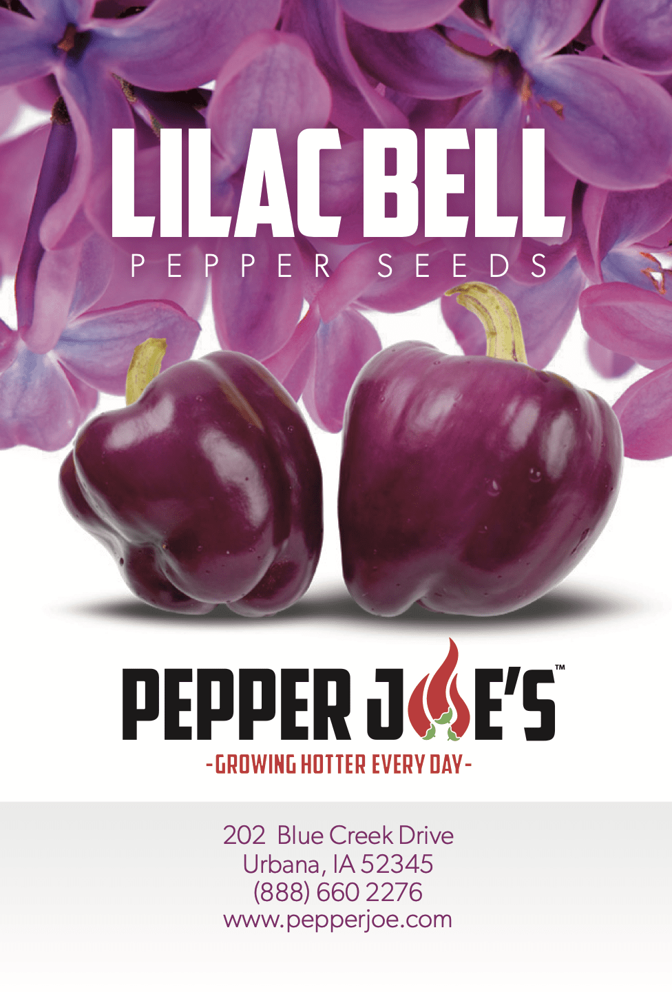 Lilac bell pepper seeds