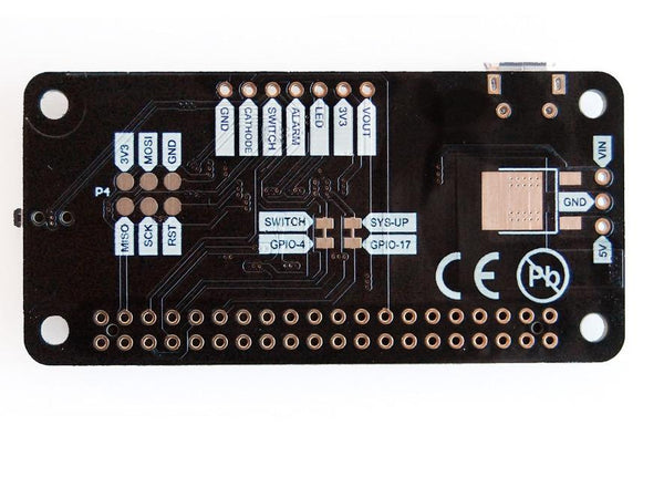 americanize raspberry pi script