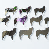 Border Collie Dog Mini Craft Sized Acrylic Mirrors (10Pk) - Suave Petal