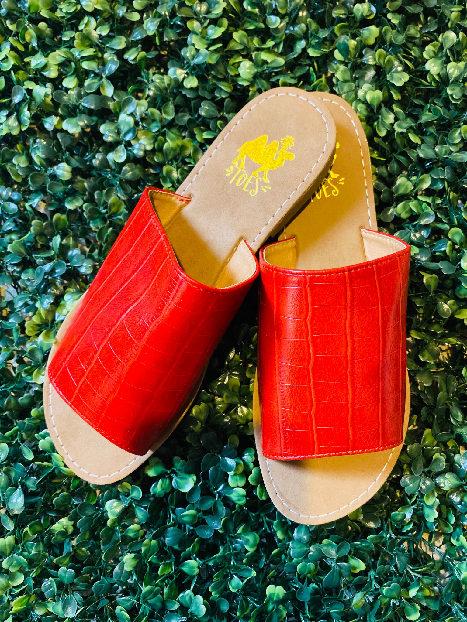 nægte boks edderkop Sahara Croc Slide Sandal – River Ruby Boutique