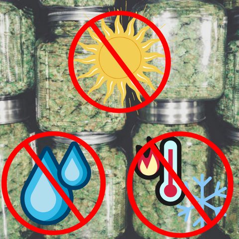 How to Store Weed