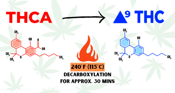 THCA vs THC