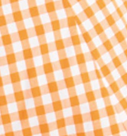 Crop top in a orange gingham print with off shoulder sleeves.