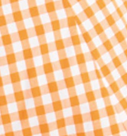 Mid-length skirt in an orange gingham print.