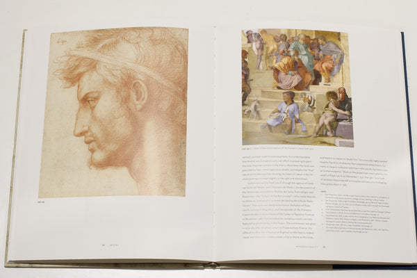 Andrea Del Sarto book review