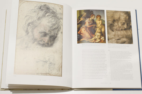 Andrea Del Sarto book review