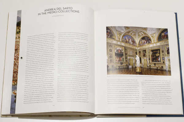 Andrea Del Sarto book review