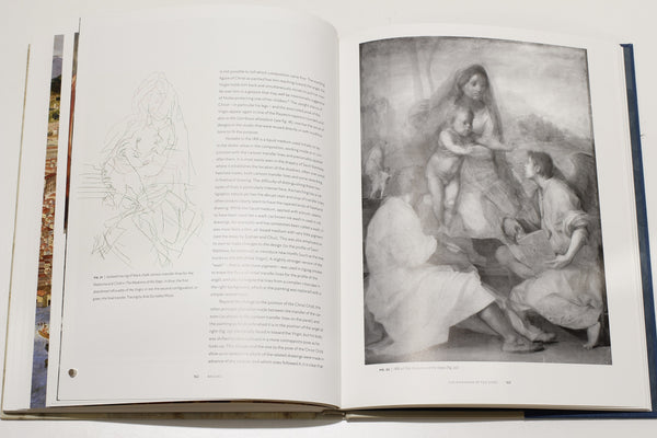 Andrea Del Sarto book review