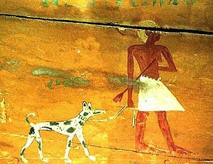 A painted detail an outer face of the wooden coffin of Khuy at Asyut, Egypt dated to c. 3500 BCE shows a man walking his dog on a leash.