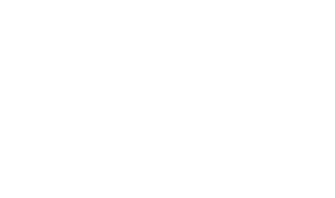 Vendredi Fou