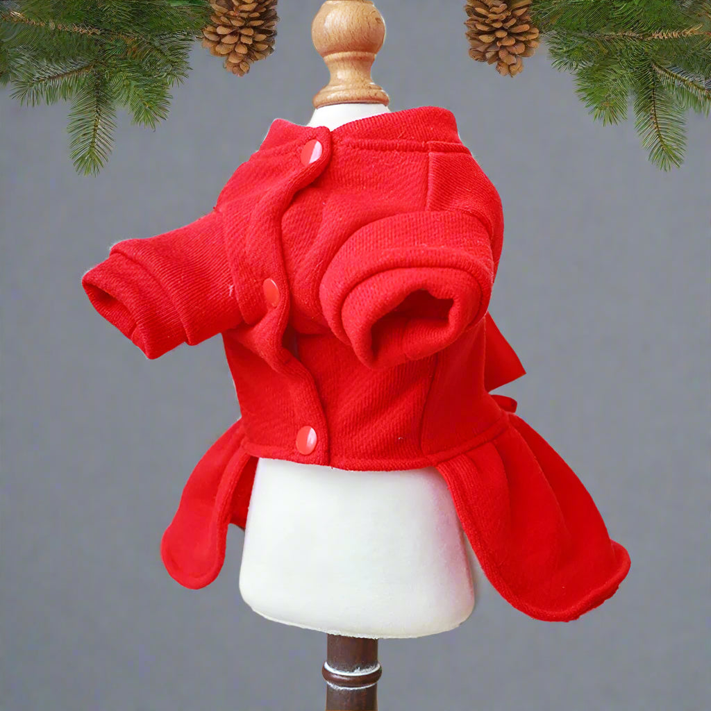 pull noel chien bienfaits insoupçonnés