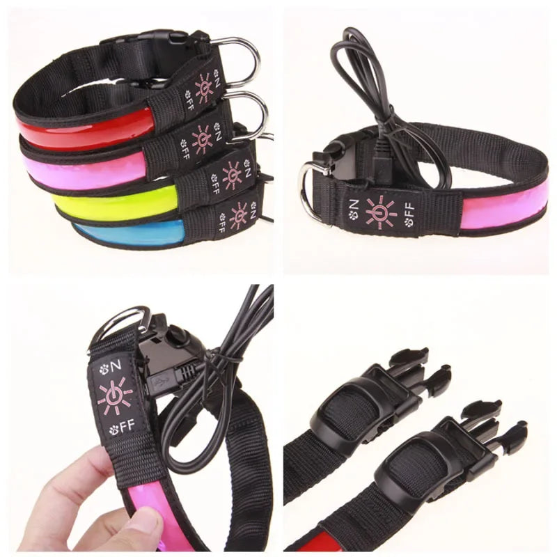 Collier lumineux pour chien | LumiDog ™ avantage exceptionnel