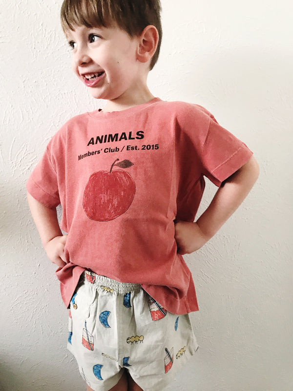 the animals observatory ss18