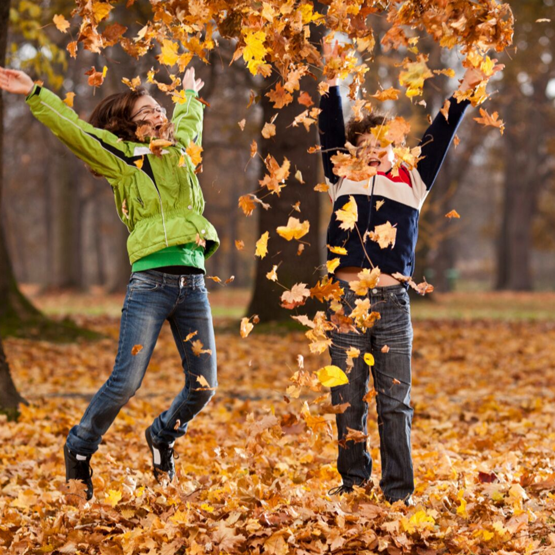 Cool seasons. Осень развлечения. Осенние каникулы. Осенние забавы. Идеи осенних развлечений для школьников.