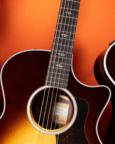 Taylor 400 Series Inlays and Rosette - The Music Zoo