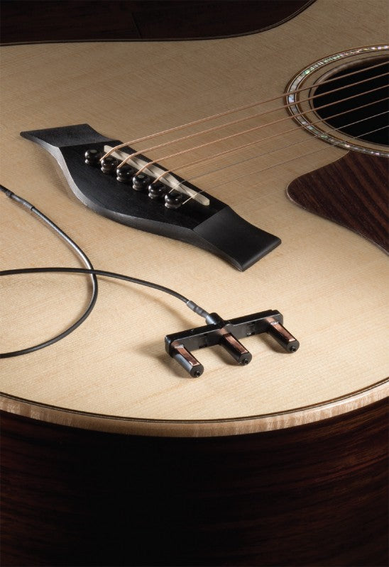 Taylor Guitars Expression System 2 