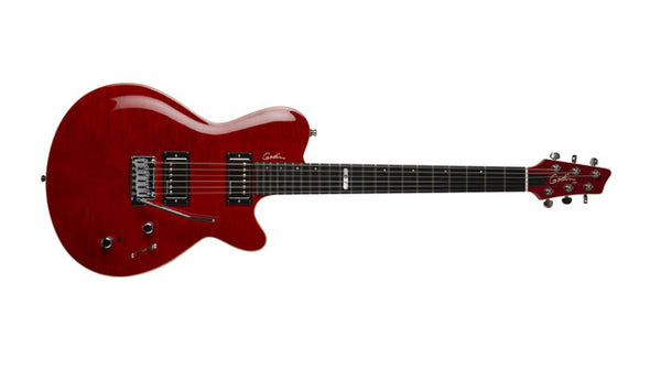 Godin Daryl Stuermer DS-1 Signature Edition Guitar Unveiled!