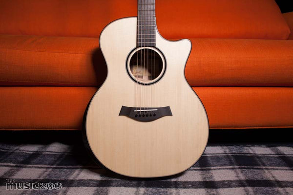 Taylor Custom Shop Grand Auditorium Music Zoo 25th Anniversary Limited Edition Acoustic Guitar Review!