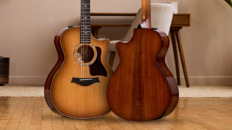 Taylor 500 Series Urban Ironbark Acoustic Guitar Features