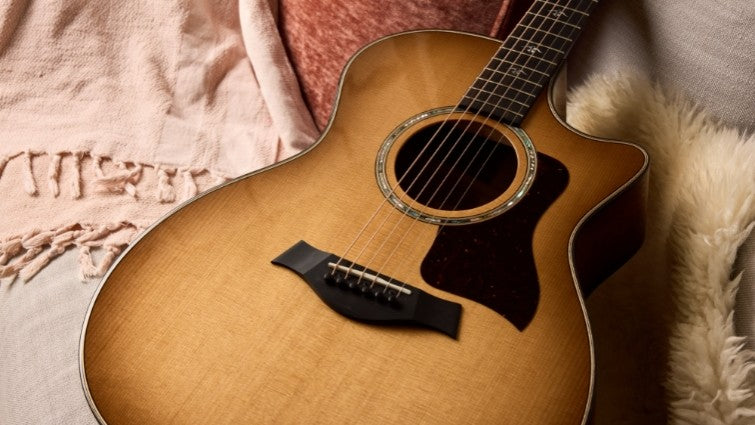 Taylor 500 Series Urban Ironbark Acoustic Guitar Features 2