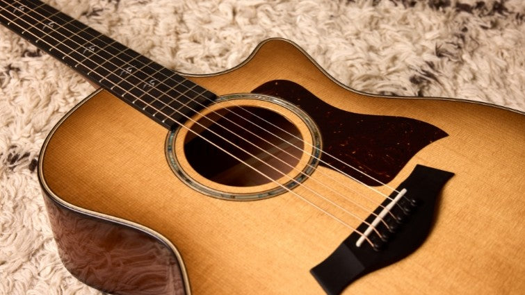 Taylor 500 Series Urban Ironbark Acoustic Guitar Features 4