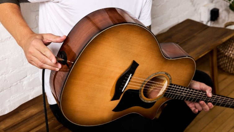 Taylor 500 Series Urban Ironbark Acoustic Guitar Features 3