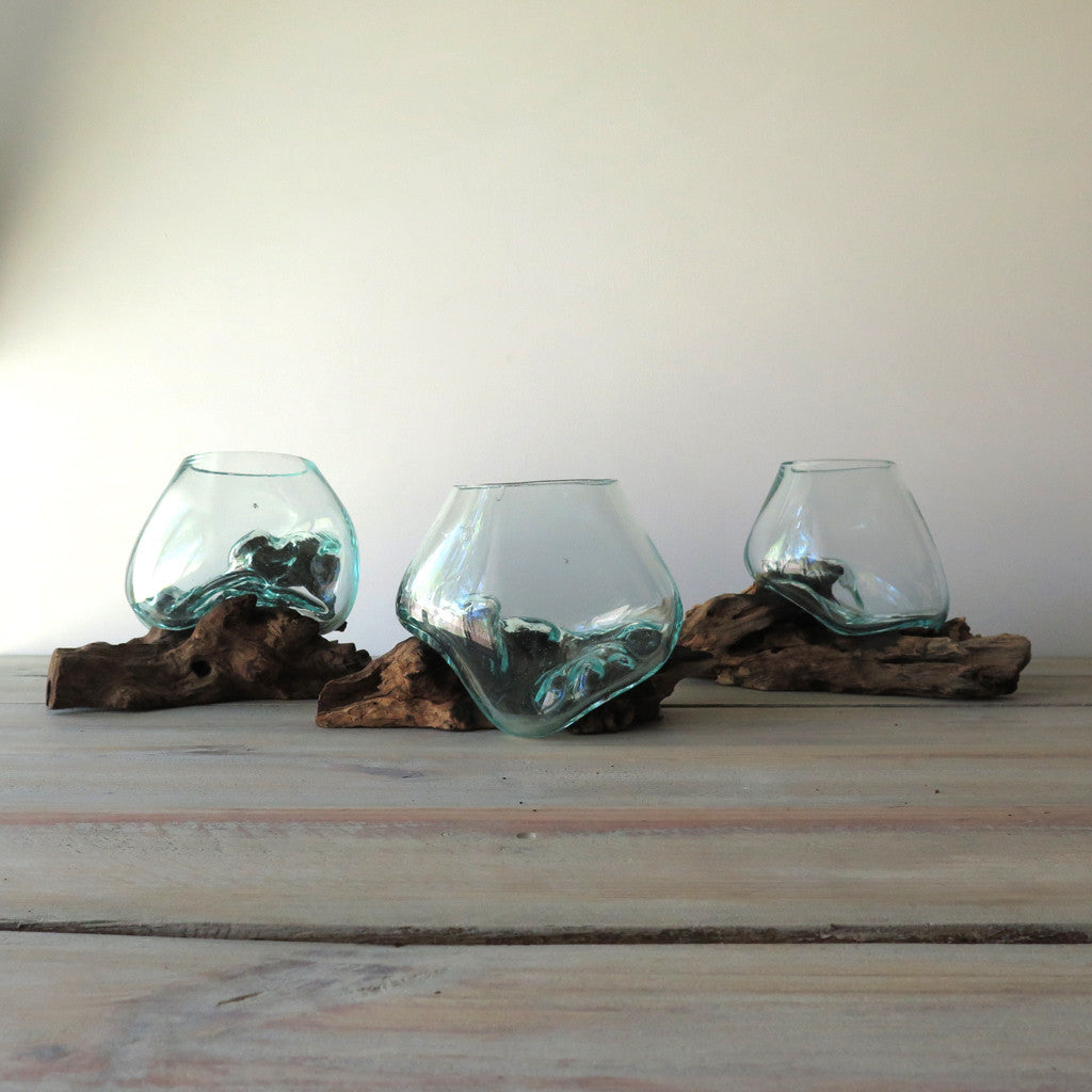 Glass on Driftwood Terrarium