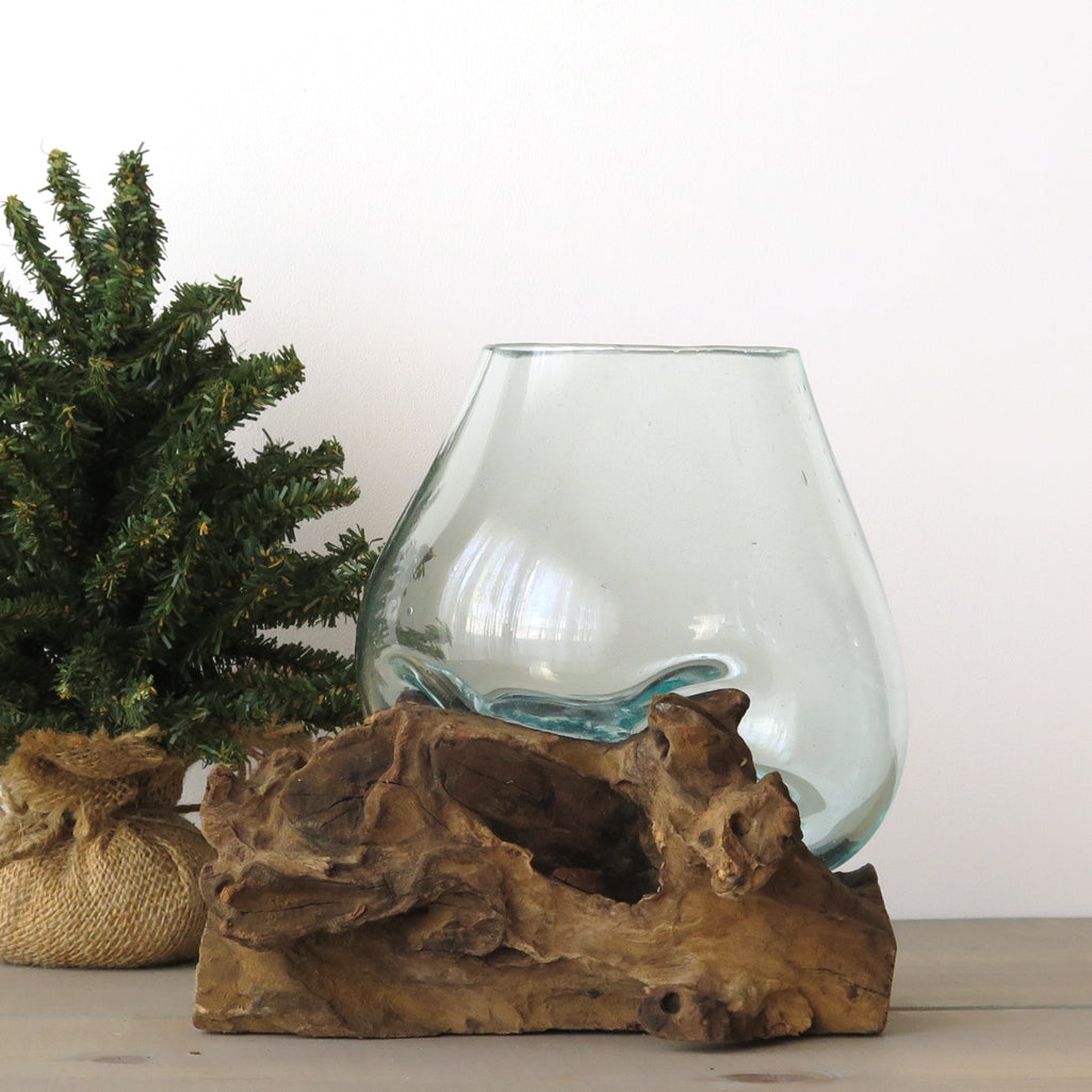 Glass on Driftwood Terrarium III