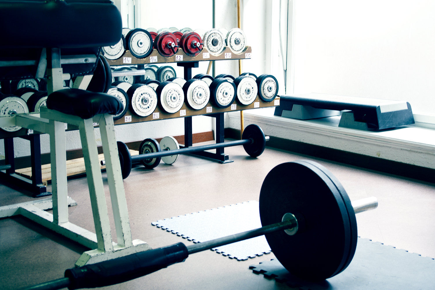 https://cdn.shopify.com/s/files/1/0916/1708/articles/prosource-blog-10-Things-You-Need-for-the-Perfect-Home-Gym.jpg?v=1545162040